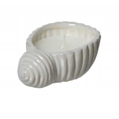 Candela profumata al limone in un guscio di porcellana 13,4x5cm cera decorativa