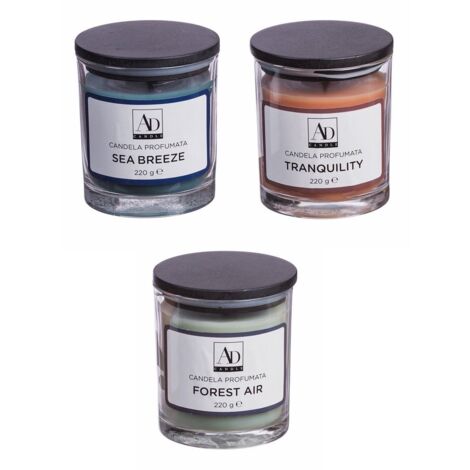 CANDELA PROFUMATA D.8XH9CM 4 FRAGRANZE CON VASETTO