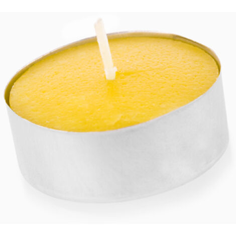 Candela scaldavetro alla citronella (confezione da 15 unità)
