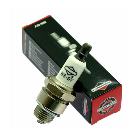 Candele Briggs & Stratton RJ19LM 1 pz.