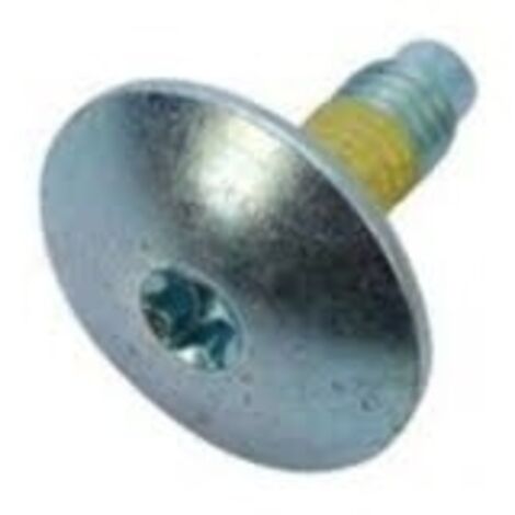 Candy 41021881 Vis de fixation poulie tambour lave-linge