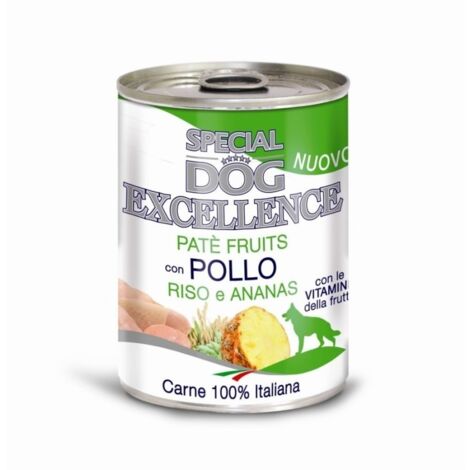 Cane - Pollo, Riso e Ananas Special Fruits Monge - size 300 gr