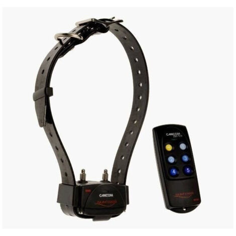 NUM'AXES Canicom 200 First - conjunto de adiestramiento a distancia NUMAXES