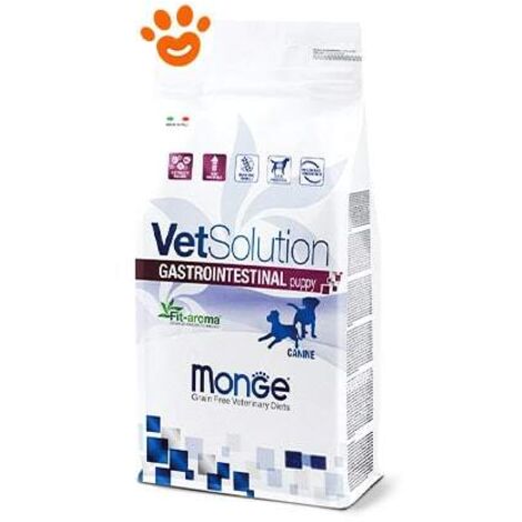 Canine - Intestinal Puppy Vetsolution Monge 1 Kg