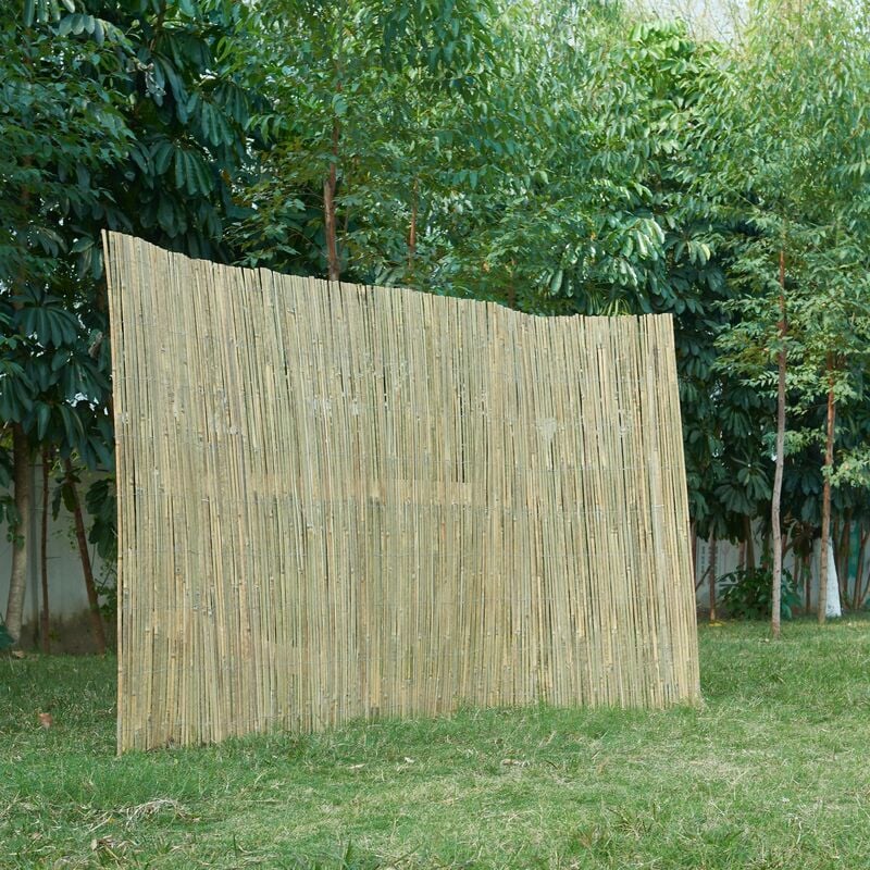 Casa.pro - Canisse en bambou Baarle 120 x 300 cm naturel bambou