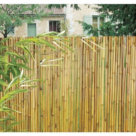 Cañizo Bambu natural Barnizado Bambooflex Nortene 1x3 m