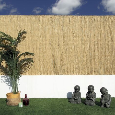 CAÑIZO BAMBÚ PELADO MULTIVARILLA REED MULTI NORTENE 1X5 M