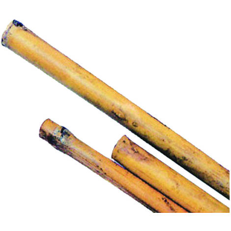 CANNA BAMBOO- - mm.24/26 h.210 - 50 pezzi T-REX