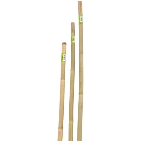 canna bamboo piena h150cm 22/24 mm