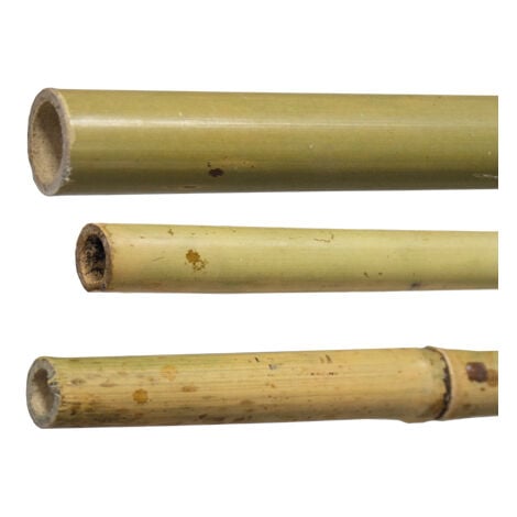 CANNE BAMBU' H180-DIAM 20/22 MM