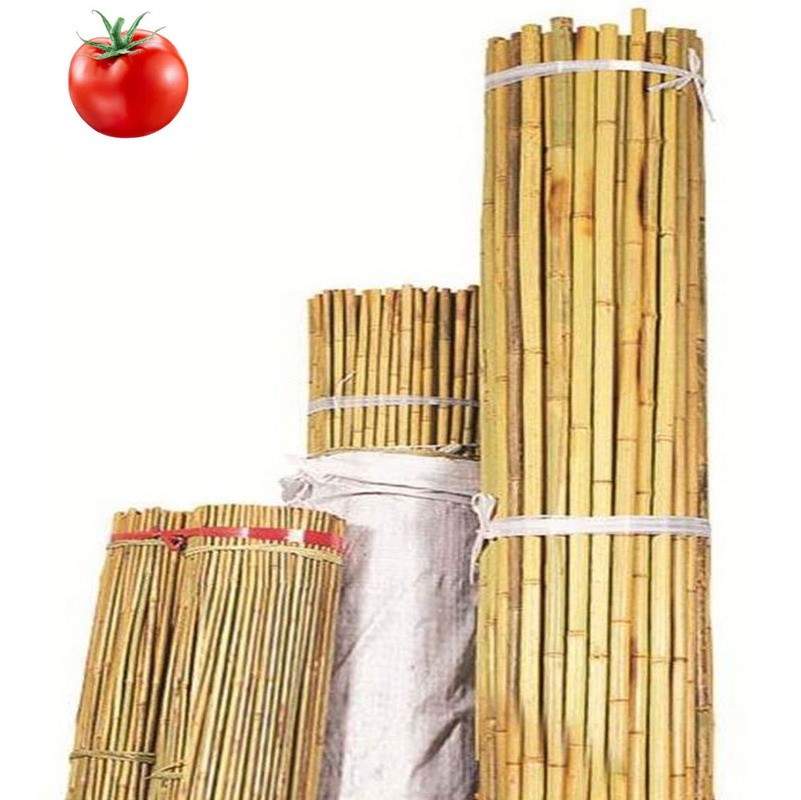 Image of Canne di Bamboo 10 pz riutilizzabili per sostegno ortaggi pomodori h.120 cm STI