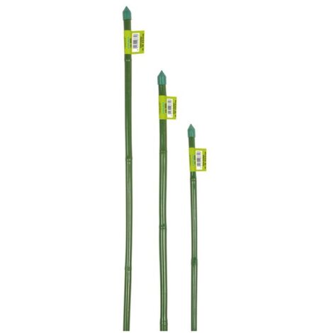 Cannetta bamboo plt 8-10 cm. 60