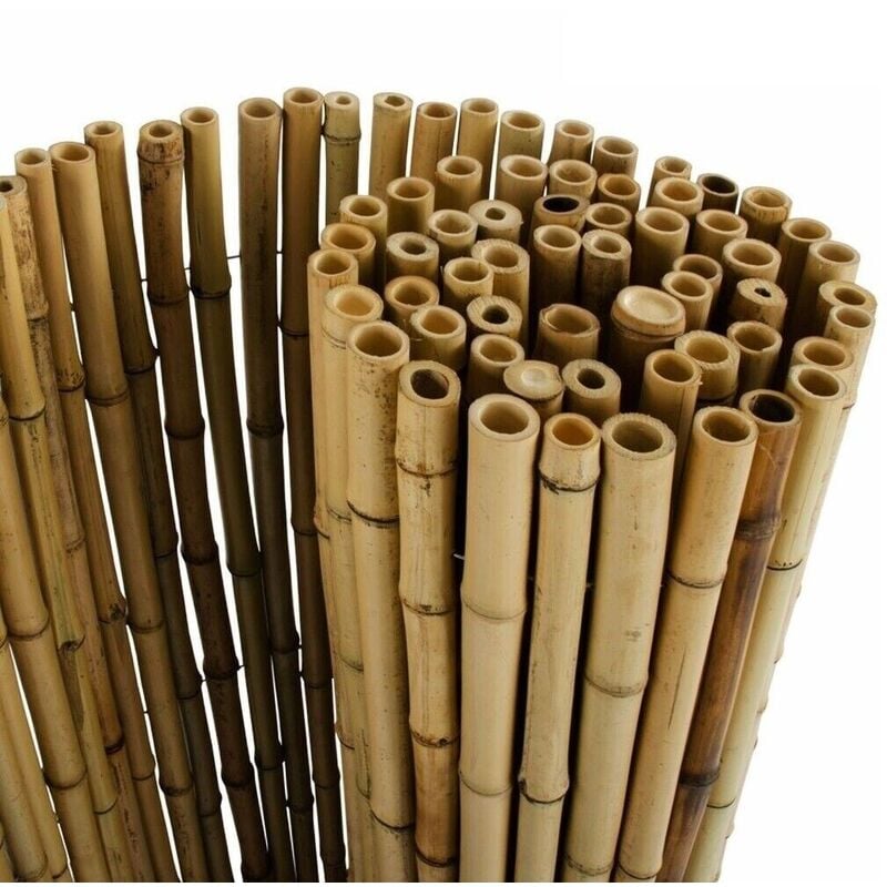 Xone - canniccio bamboo big canna ø 20-30mm - H100 x 3mt - frangivista ombra