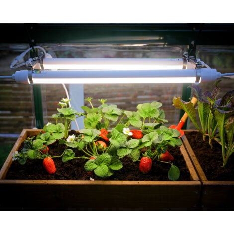Canopia - Luz para Cultivo LED