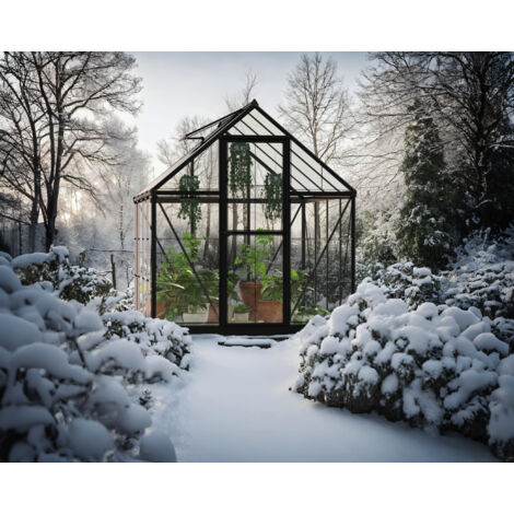 Canopia Serre de jardin Hybrid 4.6m² Noir