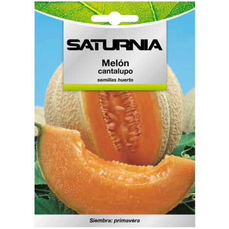 Cantaloupe-Melonensamen (3 Gramm) Obstsamen, Gartenbau, Gartenbau, Gartensamen.