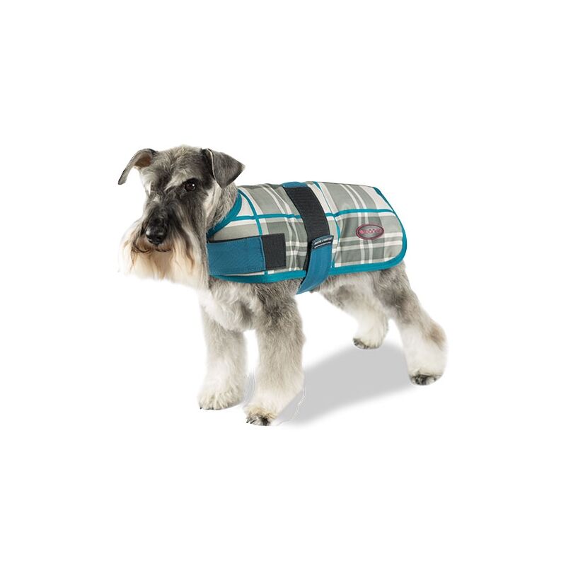 

Capa + Trendy Breathe Comfort Aguamarina CAPA +TRENDY BREATHE COMFORT AGUAMARINA 40CM