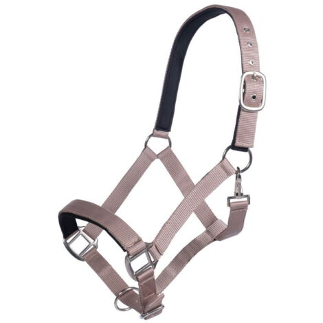 Capezza Breakaway: Pony, violetto