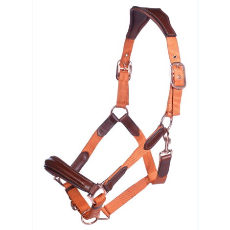Capezza con nasalina e frontalino imbottiti modello Edinburgh: Pony, Verde Pistacchio 5100