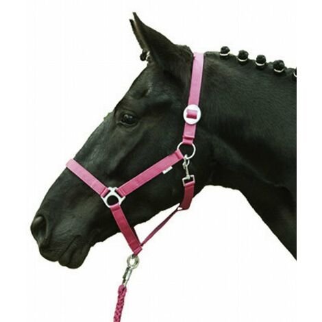 Capezza per cavalli con imbottitura sulla nasalina modello Stars economy Softice: Pony, arancione neon 8042