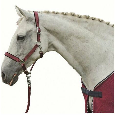 Capezza per cavalli morbida e imbottita modello Stars: Cob, rosso scuro 3200