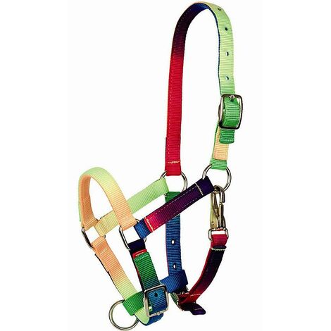 Capezza Tattini in nylon doppio multicolore da PULEDRO: Puledro, Multicolor 98