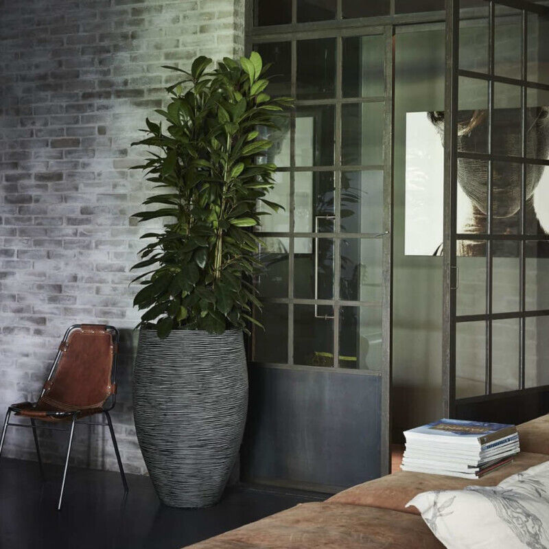 Pot à fleurs Nature Rib élégant Deluxe 45x72 cm Anthracite Capi