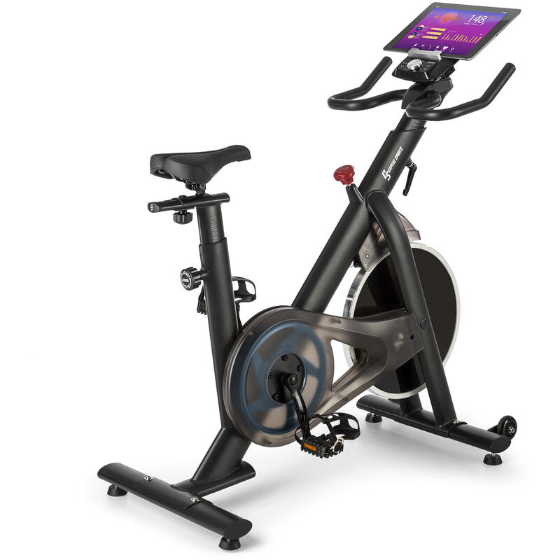 

Evo Race Bicicleta estática Masa oscilante de 22 kg Gris