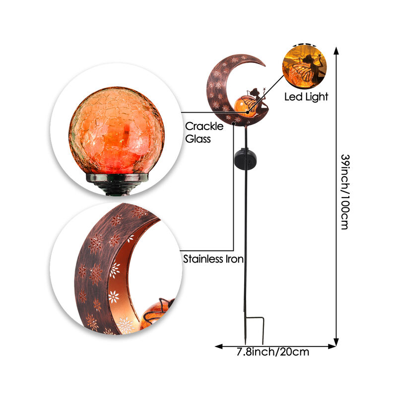 Capodanno fiore fata giardino luce solare