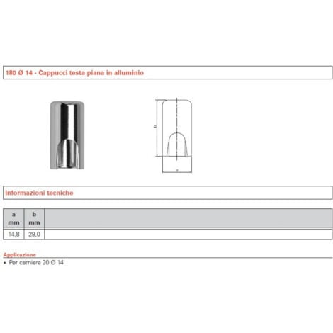 SFS INTEC CAPPUCCIO SFS CROMO OPACO X ANUBA (ART.20 D.14) NS935948