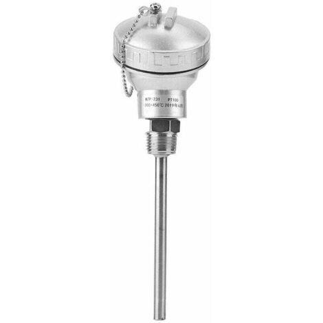 Capteur de température Nitrip RTD PT100 Sonde 1/2 "Tête de thermocouple à filetage NPT en acier inoxydable 201(100mm)