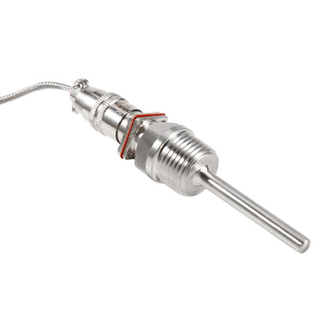 Capteur de température PT100 RTD avec câble de 2 mètres et filetage NPT 1/2"