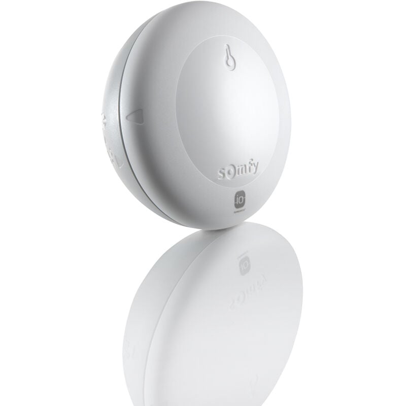 2401220 - Thermis Wirefree io - Capteur de température extérieur - Fonctionne avec TaHoma (switch) - ip 34 - Somfy