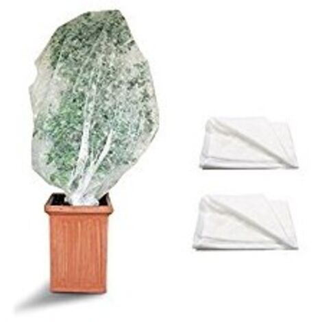Capucha protectora para plantas