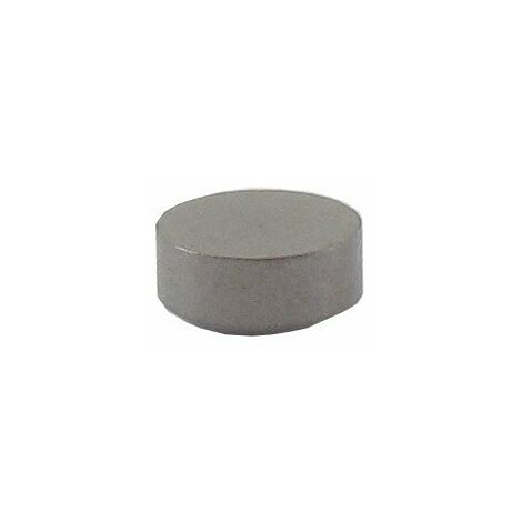 Capuchon de soupape BRIGGS ET STRATTON 691843