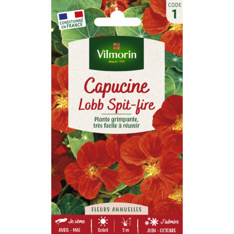 Capucine de Lobb Spit-fire Vilmorin
