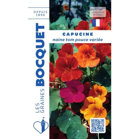 Capucine naine Tom Pouce variée - 5g