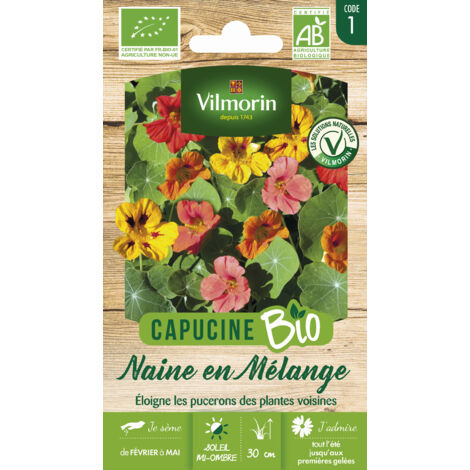 Capucine Naine Variée - BIO Vilmorin