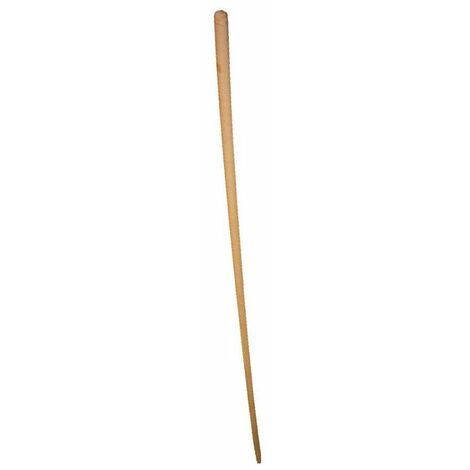 Capvert – Manche en hêtre pour échenilloir 3m – Diamètre 28mm – Robuste pour accès aux branches élevées – Outil de jardinage professionnel