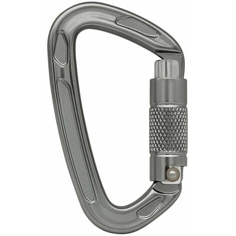 2 Pieces Carabiner Clip Heavy Duty 12kn (1200kg) Climbing