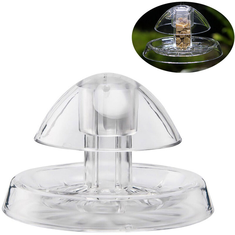 

Caracol Trampa Atrapador Planarian Pest Catch Box Leech Medio Ambiente Herramienta de limpieza Plastico para acuario Pecera,Transparente, 8 x 8 x 6