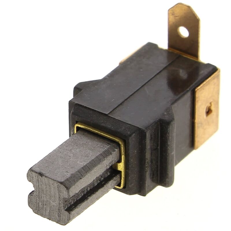 Carbone + supporto (set di 1), 5131003261 per levigatrice Ryobi