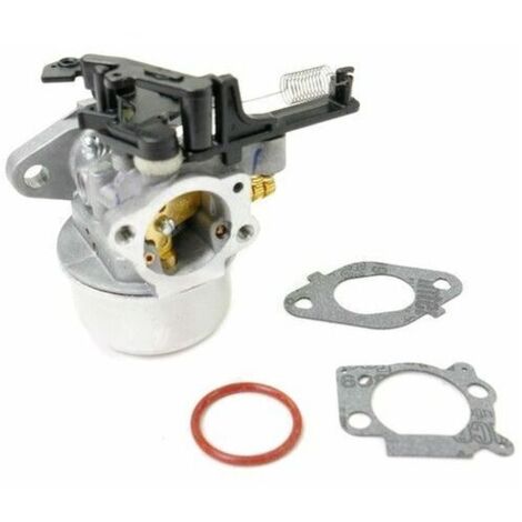 Carburador de motor Briggs & Stratton 591137