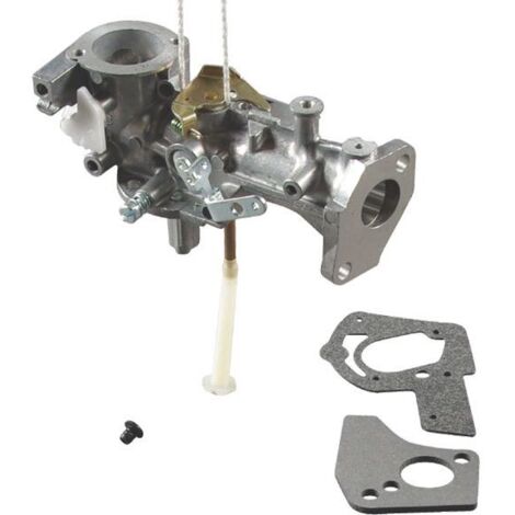 Carburador para motoazada motor Briggs y Stratton - 495459