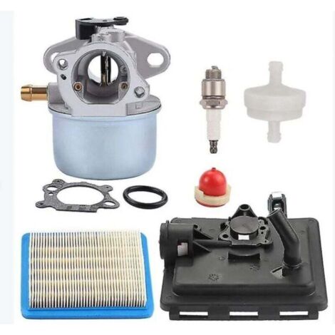 Carburador ZY-799868 con base de filtro de aire 496116 795259, compatible con 124l02 124t02 124t05 124t07 ZVD