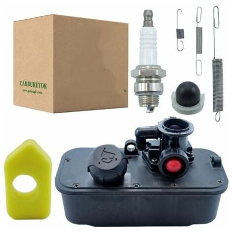 START Carburateur 494406 Réservoir de carburant avec carburateur 795477 Remplace 498809, 498809A, 498811, 494407, 494775, 497619, 699660, 794147, 794161, 795469
