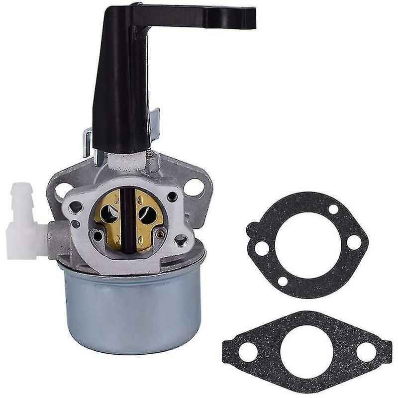 SNQ - Carburateur 696065 697422 avec joint pour Briggs & Stratton 110402
