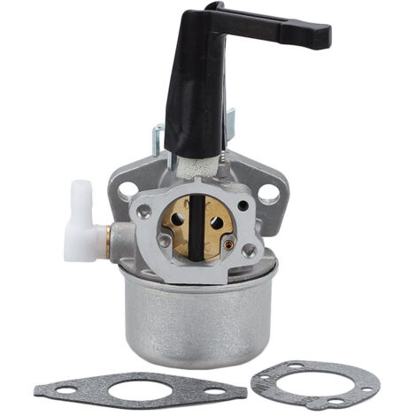 Carburateur 696065 697422 avec kit de joints de montage pour moteur de motoculteur Briggs & Stratton 110402 110412 215369 5HP 5,5HP 6HP 6,5HP 7HP Moteur motoculteur Troy Générateur Intek Moteur Pompe