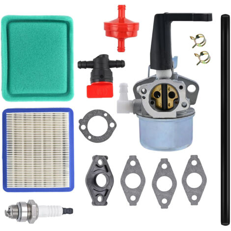Carburateur 696065 697422 pour Briggs & Stratton - Remplace 110402 110412 215369 5HP 5.5HP 6HP 6.5HP 7HP - Kit avec Joints pour Moteur de Motoculteur, Générateur, Pompe à Eau-Alovez