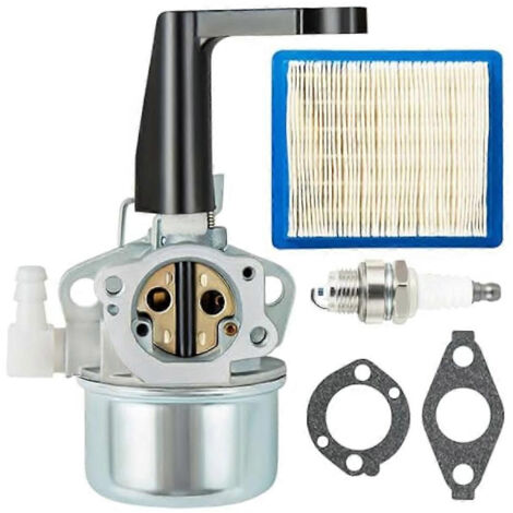 Carburateur 696065 697422 pour moteurs Briggs & Stratton 110402 110412 215369 5 CV 5,5 CV 6 CV 6,5 CV 7 CV (motoculteur)
